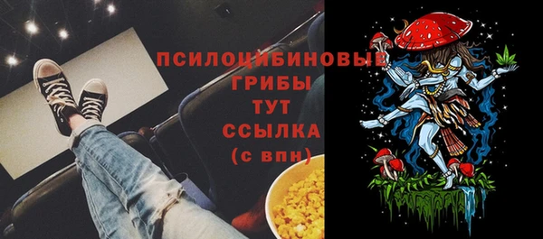 тгк Алексеевка