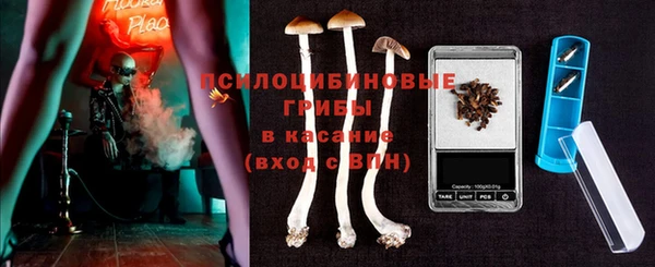 прущая мука Алзамай